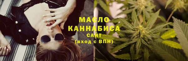 амф Каменка