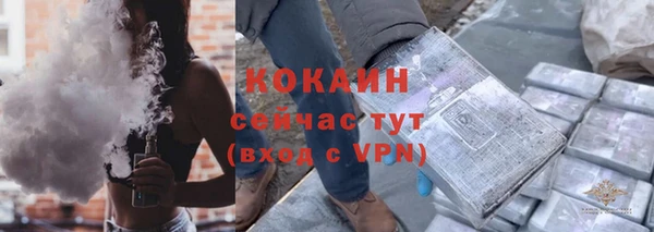 амф Каменка