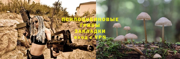 дмт Каменск-Шахтинский