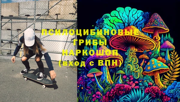 амф Каменногорск