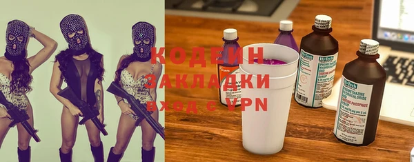 амф Каменка