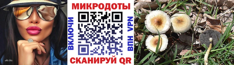 Псилоцибиновые грибы Psilocybe  Купить  Цимлянск 